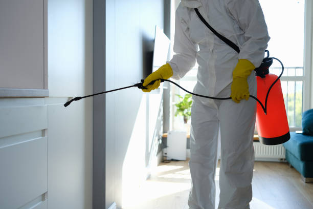 Best Mold Cleaning Services  in Landen, OH